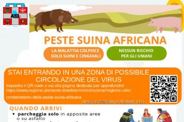Peste Suina Africana nel territorio della ASL Novara